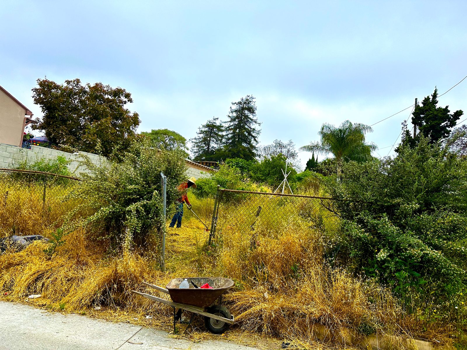 Overgrown vacant lot being cleared before construction